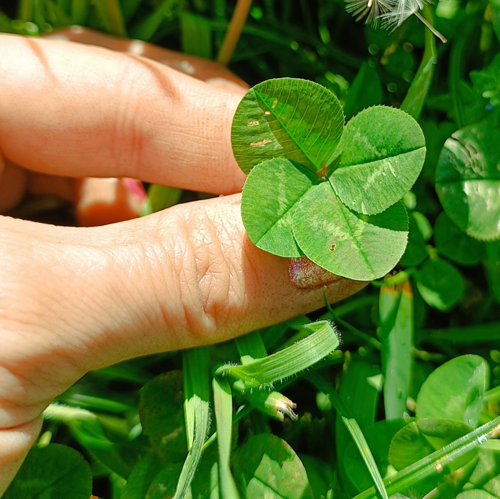 El arte de dejar espacio en tu&nbsp;vida