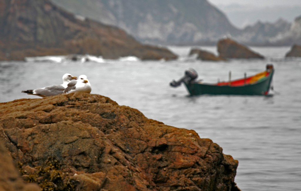 Lealtad: Un acto de amor, respeto y&nbsp;rebeldía.